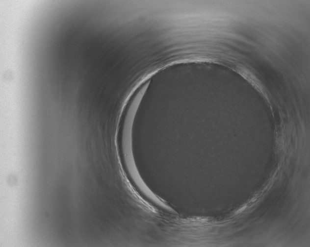 X0000072500797200607290104