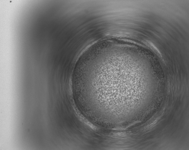 X0000072500798200607290104