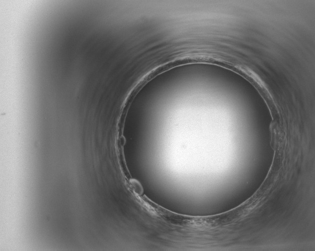 X0000072500799200607290104