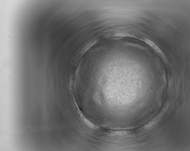 X0000072500801200607290104