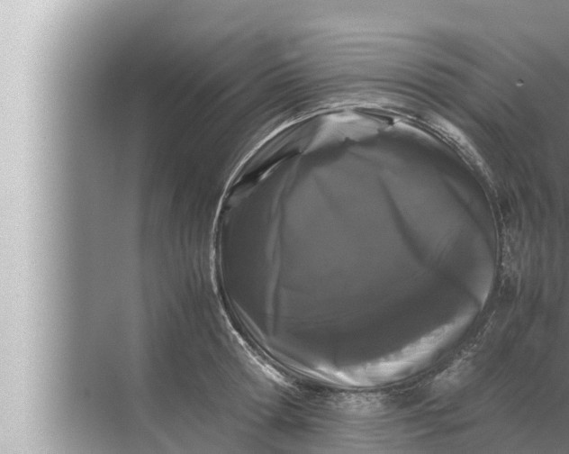 X0000072500802200607290104