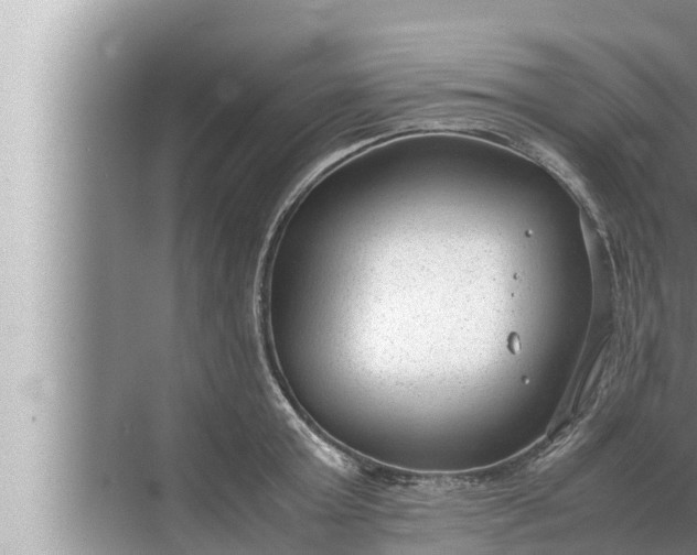 X0000072500803200607290104