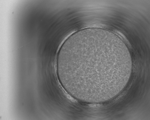 X0000072500804200607290104