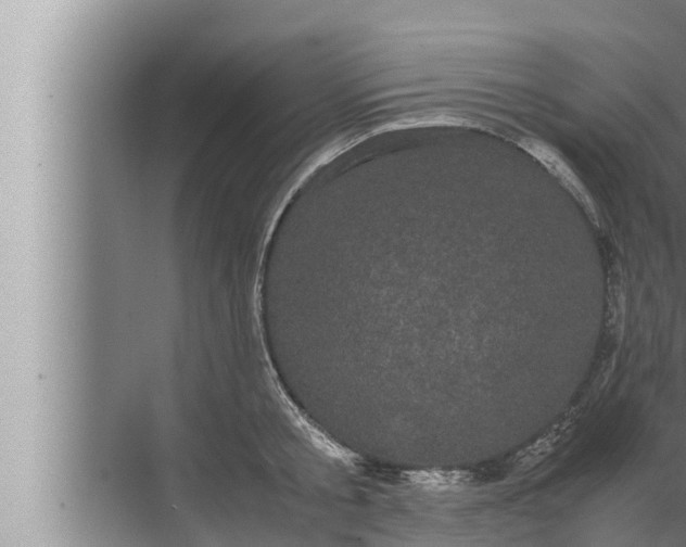 X0000072500805200607290104