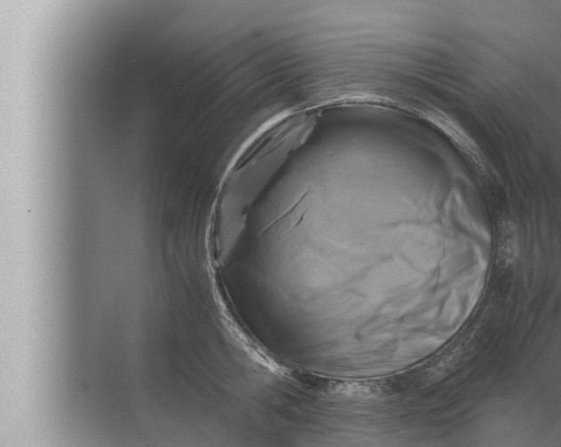 X0000072500806200607290104