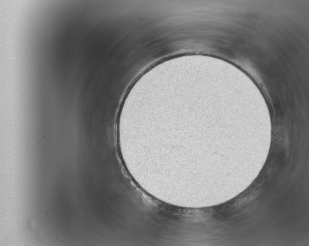 X0000072500807200607290104