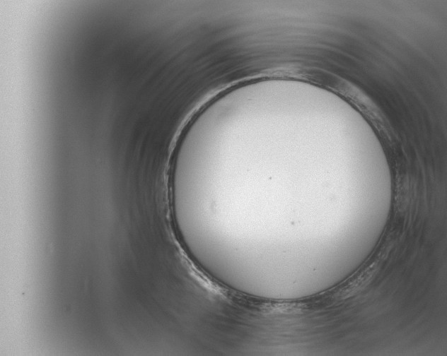 X0000072500808200607290104