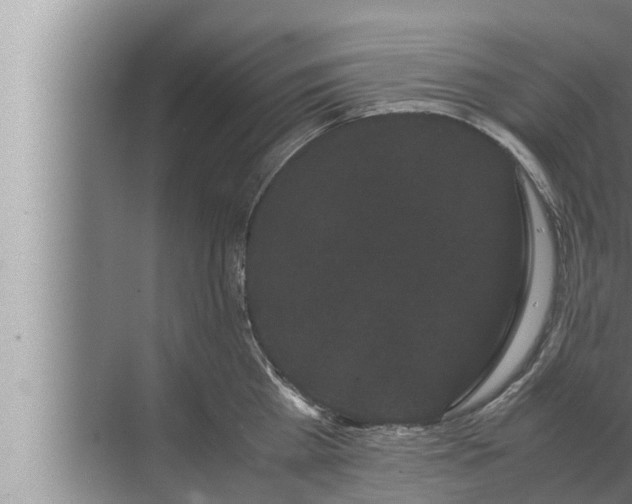 X0000072500809200607290104