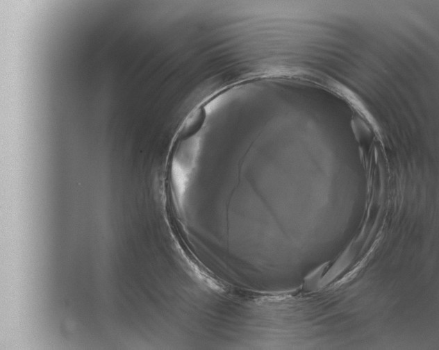 X0000072500810200607290104