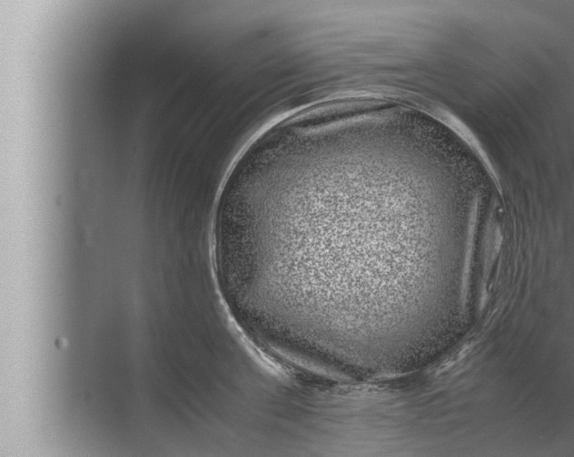 X0000072500811200607290104