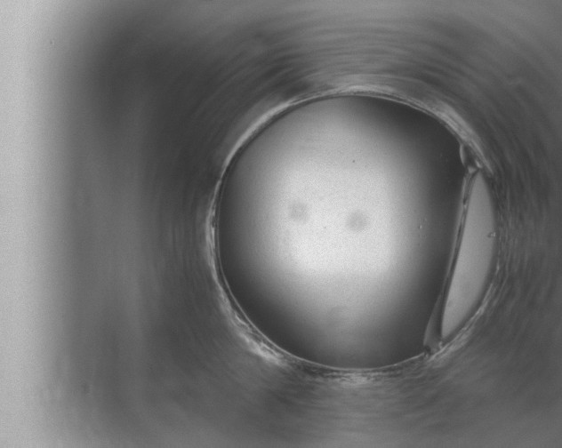 X0000072500814200607290104