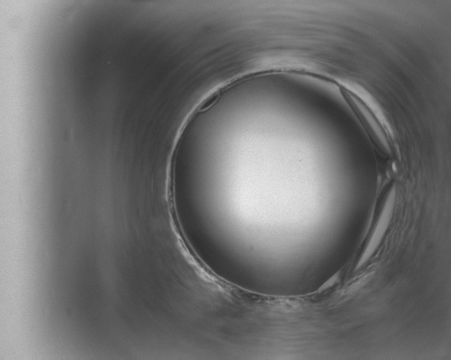 X0000072500815200607290104