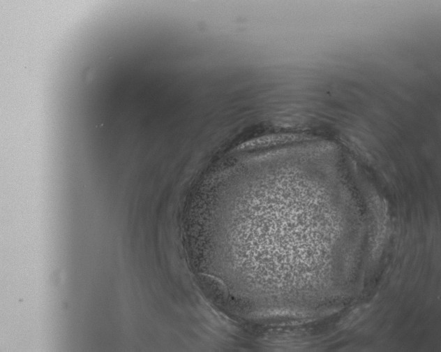 X0000072500817200607290103