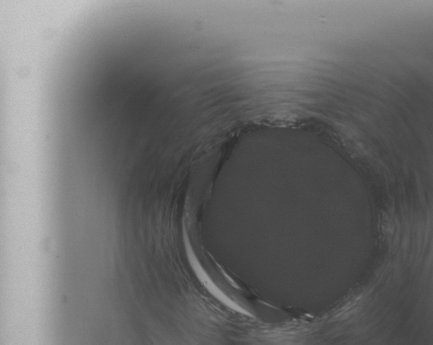 X0000072500818200607290103