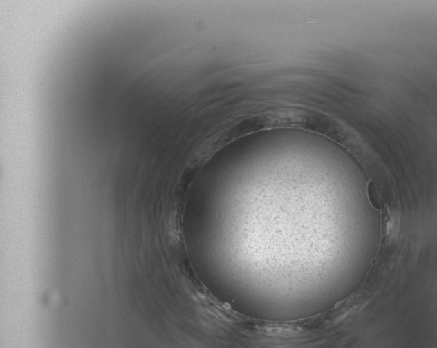 X0000072500819200607290103