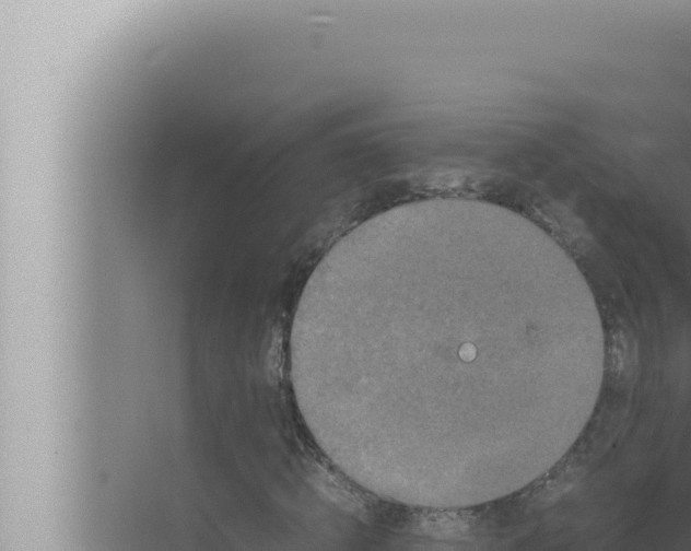 X0000072500820200607290103