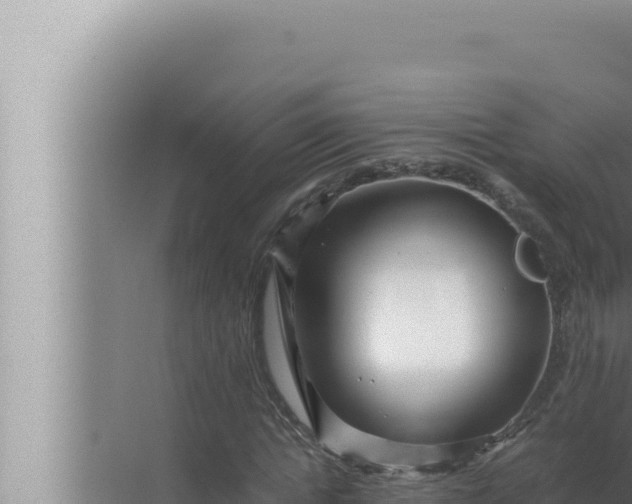 X0000072500822200607290103