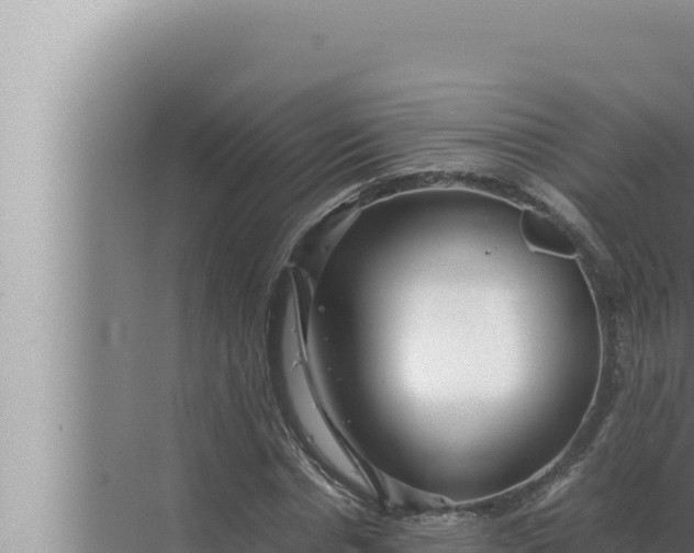 X0000072500826200607290103