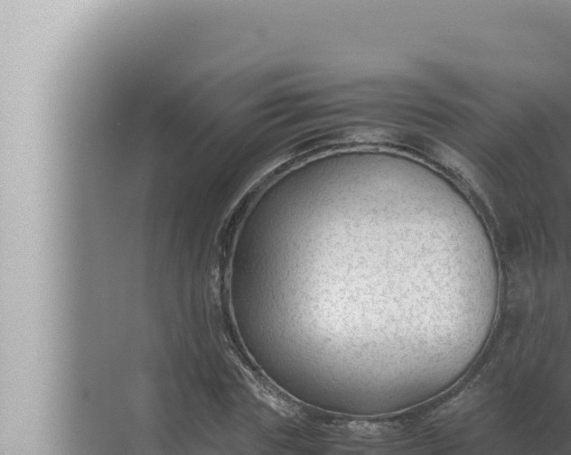 X0000072500827200607290103