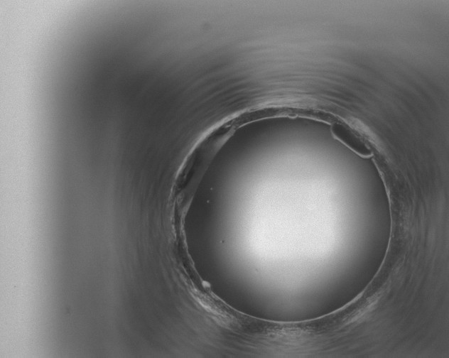 X0000072500830200607290103