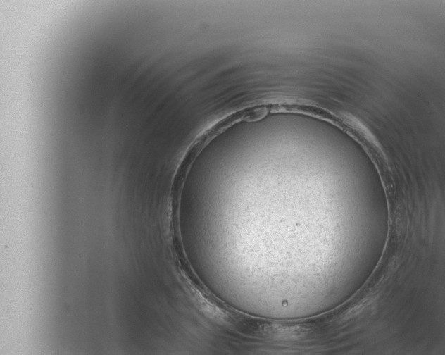 X0000072500831200607290103