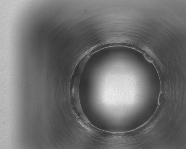 X0000072500834200607290103