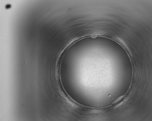 X0000072500835200607290103