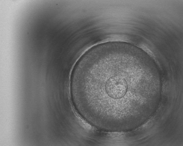 X0000072500836200607290103