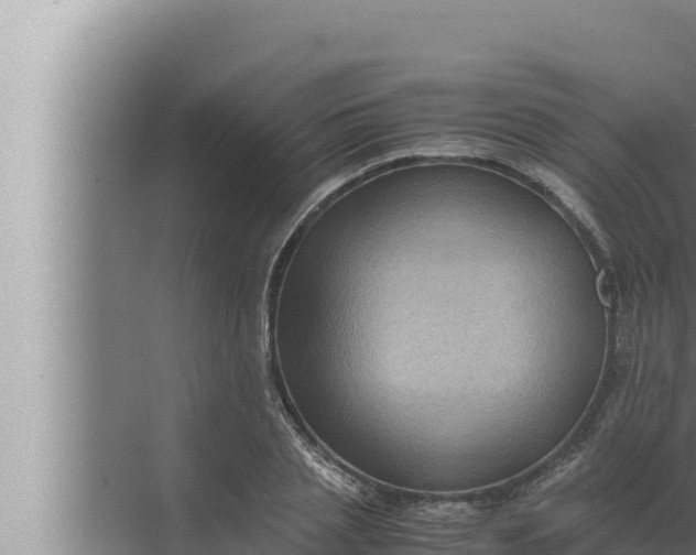 X0000072500837200607290103