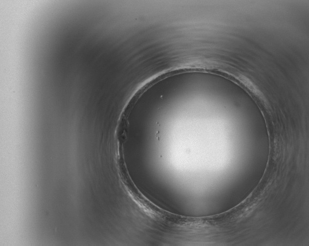 X0000072500838200607290103