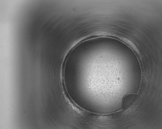 X0000072500839200607290103