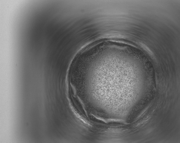 X0000072500840200607290103