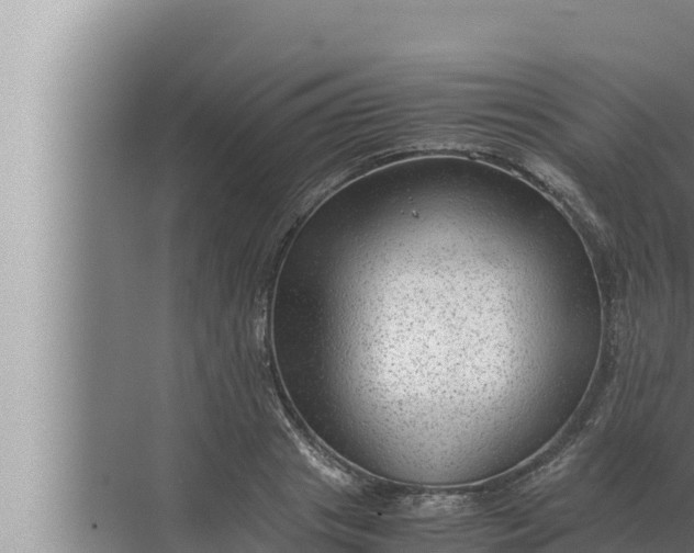 X0000072500841200607290103