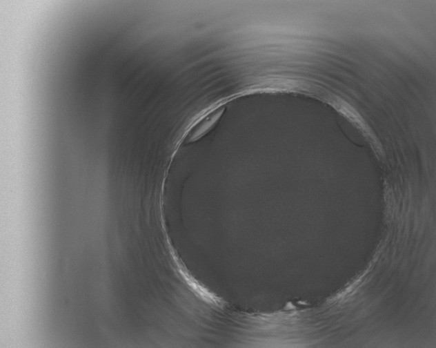 X0000072500842200607290103