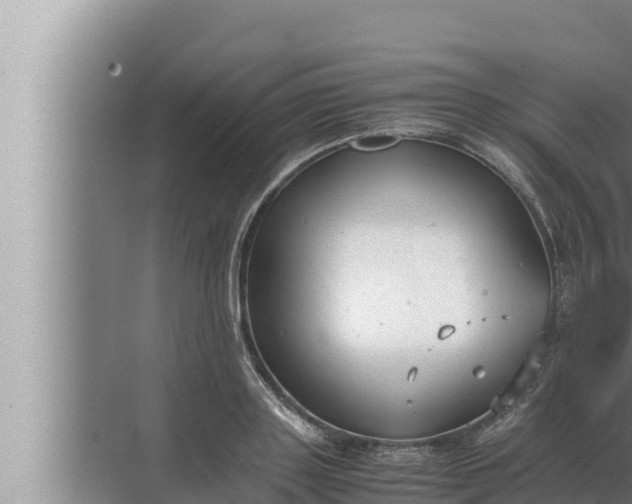 X0000072500843200607290103