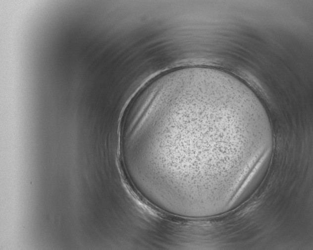 X0000072500844200607290103