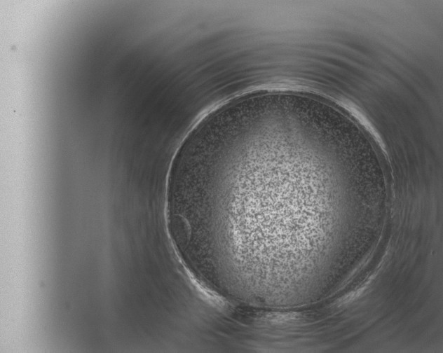 X0000072500845200607290103