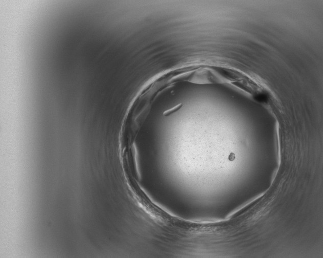 X0000072500846200607290103