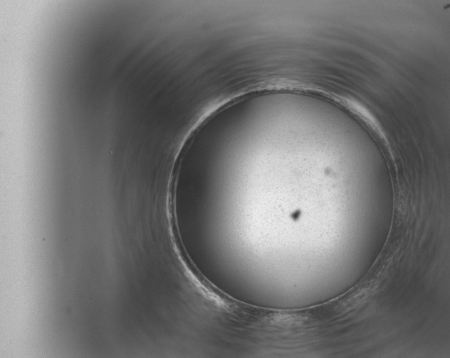 X0000072500847200607290103