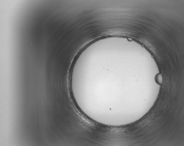 X0000072500848200607290104