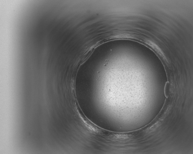 X0000072500849200607290104