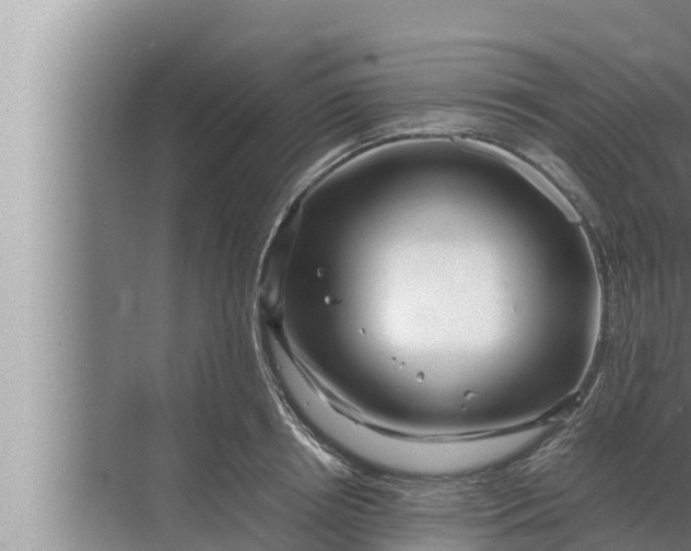 X0000072500850200607290104