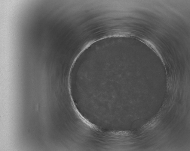 X0000072500851200607290104