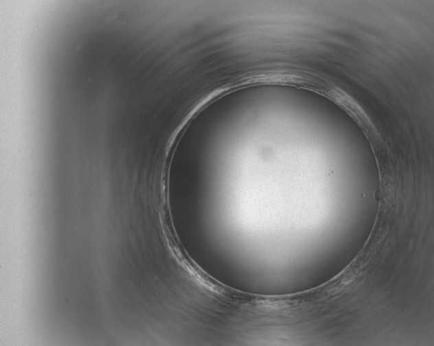 X0000072500852200607290104