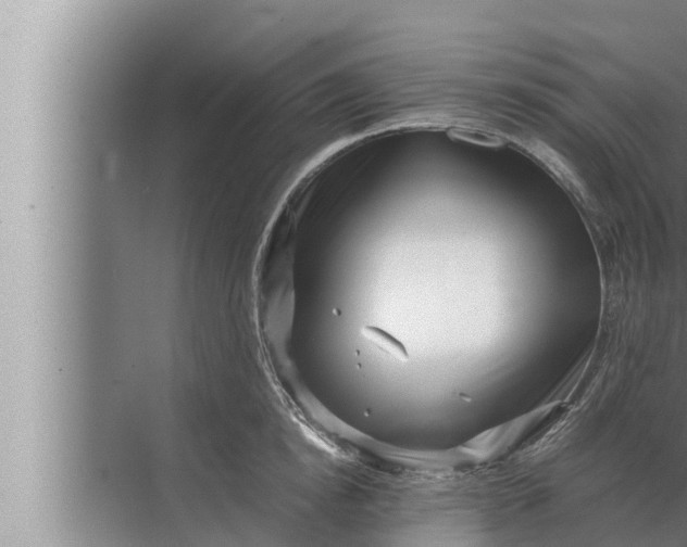 X0000072500854200607290104