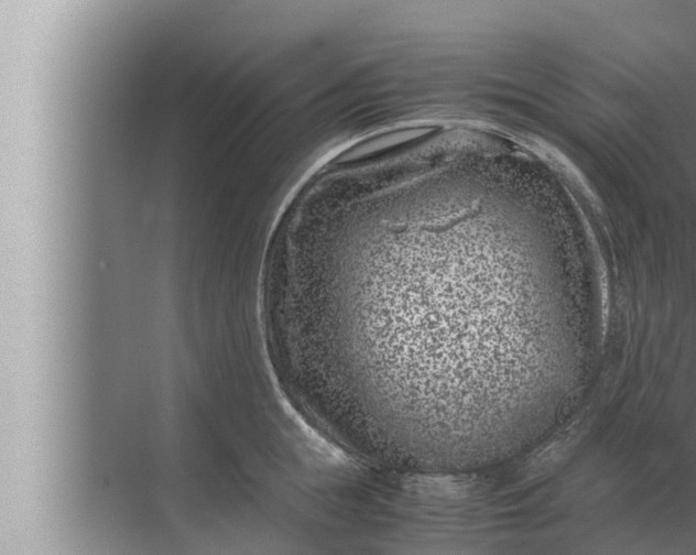 X0000072500855200607290104