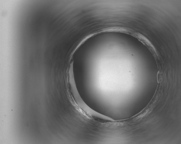 X0000072500860200607290104