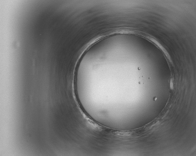 X0000072500861200607290104