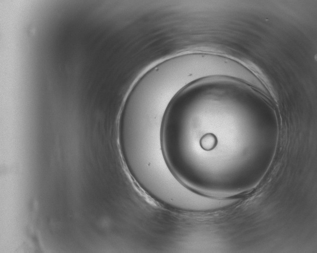 X0000072500862200607290104