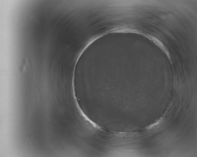 X0000072500863200607290104